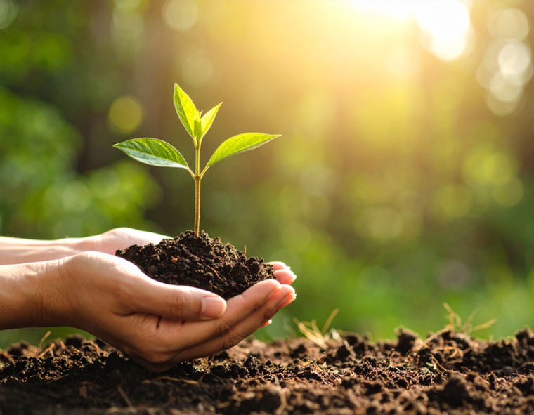Un métier pour tous, travailler pour un monde plus durable
