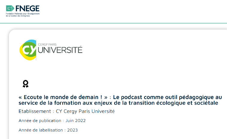 Un dispositif pédagogique de l'IUT labellisé par la FNEGE